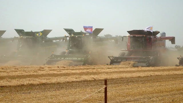 New world record set: 303 combine harvesters 'rumble down the fields'