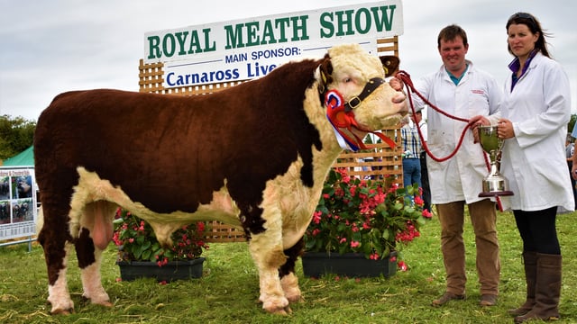 Herefords Dynamite and Quinlan top the table in Trim