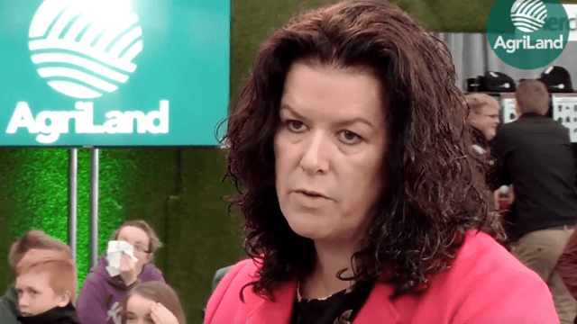 McHugh: Storm Ali and its impact on 'Ploughing 2018'