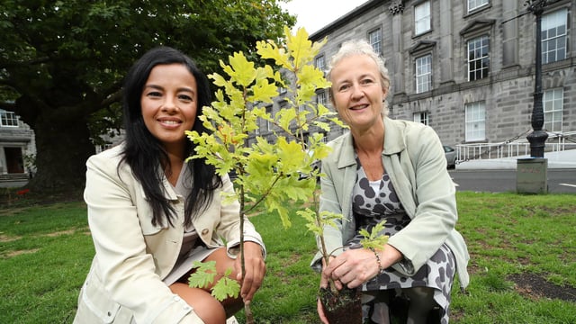 Coillte launches BioClass system for biodiversity sites