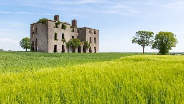Rathcoffey castle and farm offers 'highly productive' lands