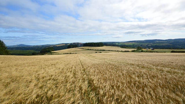 178ac Avoca holding 'ideal for dairy conversion'
