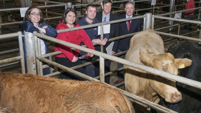 Fermoy gears up for Dairygold Beef Expo 2018