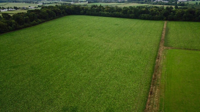 Zoned land tax: Proposed amendment to exclude leased land