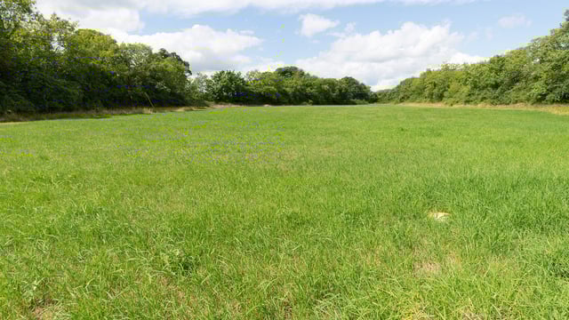 Meath non-residential farm offers potential to transform