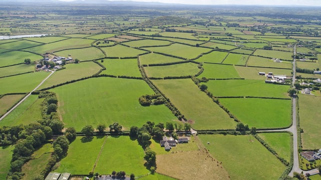 67ac 'high-quality agricultural land' for sale at Croom
