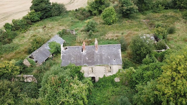 'Well-located' 39ac with derelict house for sale at Oulart