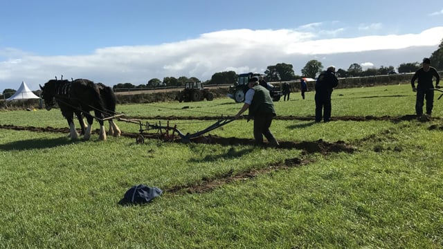 Ploughing competitions draw to a close...here's a look back