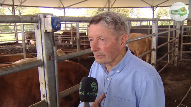 Beef farmers 'barely hanging in' following 'unreasonable' price cuts