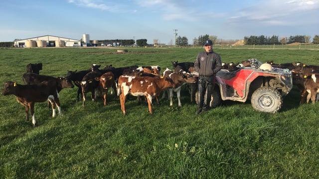'Life on a 2,500-cow dairy farm is hectic': Waterford woman
