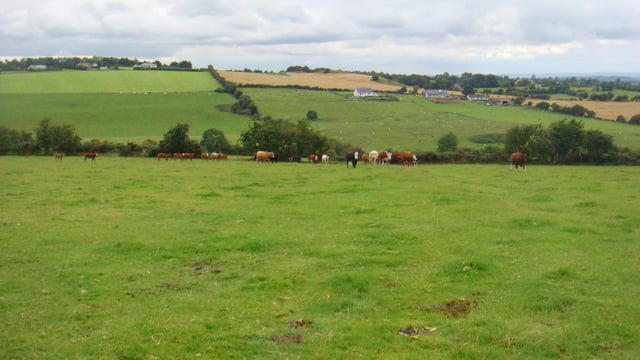 158ac Dunlavin grass farm 'ideal for young farmer starting out'