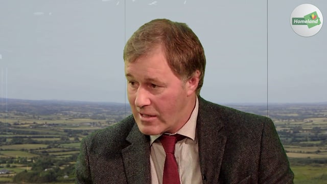 'Ringside confidence is very challenged at the moment' - Kilkenny Mart CEO