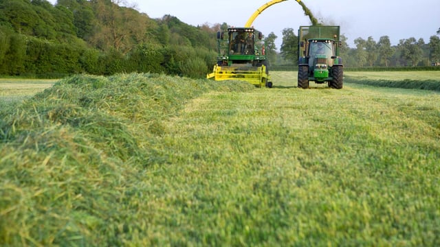 'Comprehensive' fodder survey underway - Magan