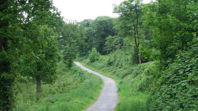 New public-private collaboration woodland fund announced