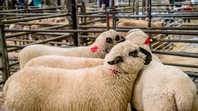 Factories to be allowed 'off the hook' with EID infrastructure