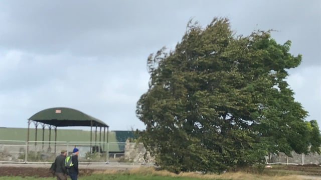 Day 2 of 'Ploughing 2018' cancelled