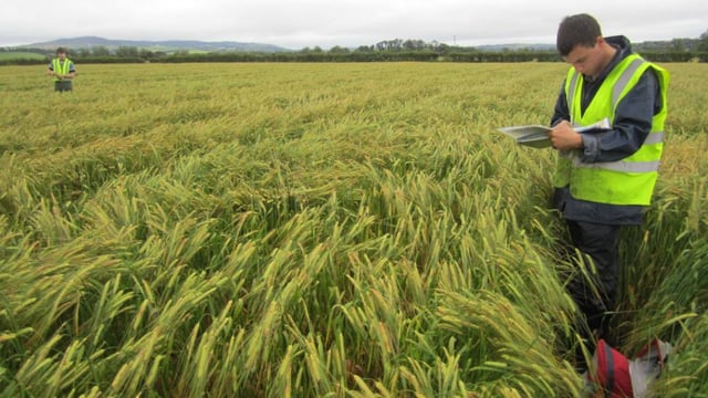 5-year soil-sampling project worth €1 million launched