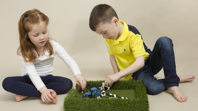 Roscommon sheep farmer shows 'the field' is child's play