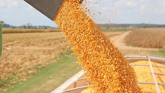 Crop tour comes to an end with estimates above last year