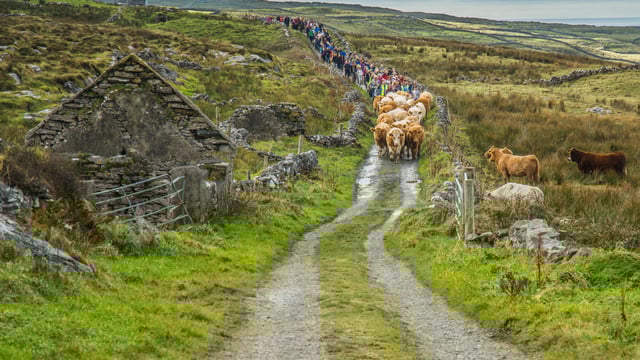 Lessons learned from farmers in the Burren Programme