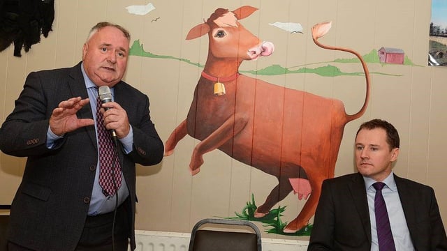 Fianna Fail's McConalogue addresses 'farm income crisis' at Elphin Mart