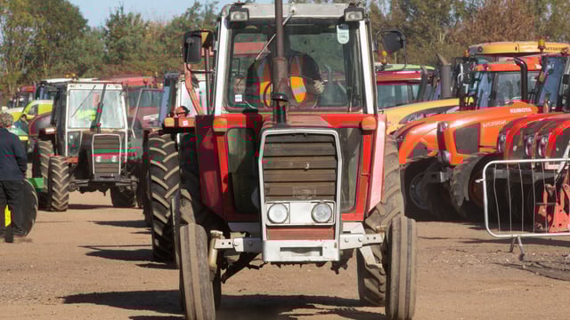 Auction report: Buying a Massey on a not-so-massive budget