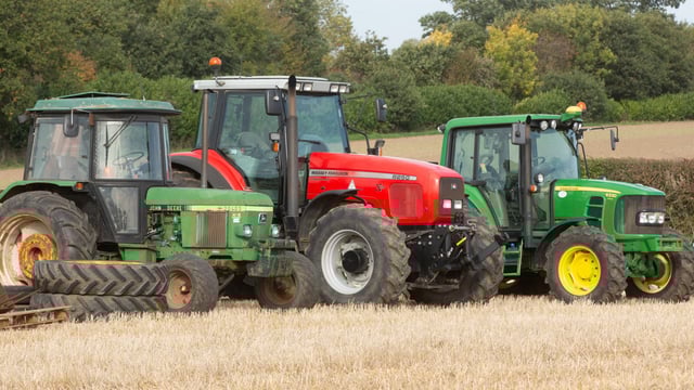 Auction report: On-farm sale sees 'greens' and 'reds' change hands