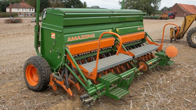 Auction report: Rooting for a bargain at this on-site sale