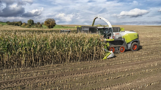 Sink or swim? New tracked Claas Jaguar is put to the test...
