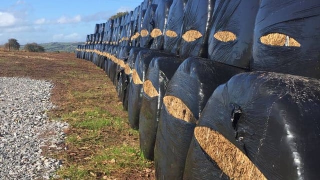 Overnight perpetrator leaves 111 bales slashed