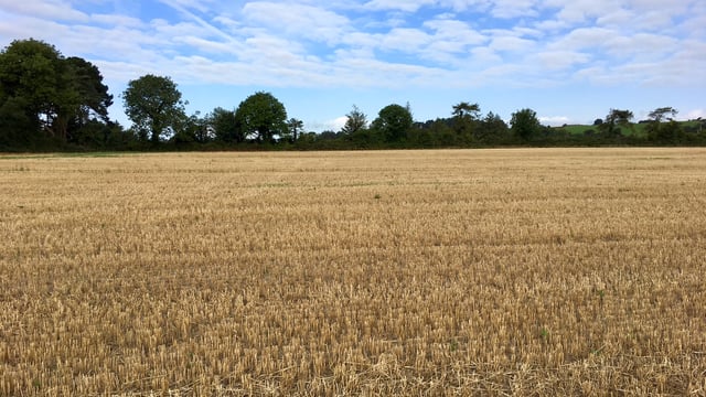 Oulart land sells for €12,600 per acre