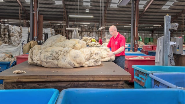 Ulster wool prices expected to be up 10p/kg on 2017