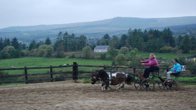 Corlough smallholding 'ideal' for self-sufficient Cavan lifestyle