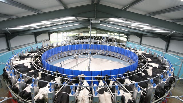 Glanbia: 'Conflicting dynamics' playing out in dairy markets