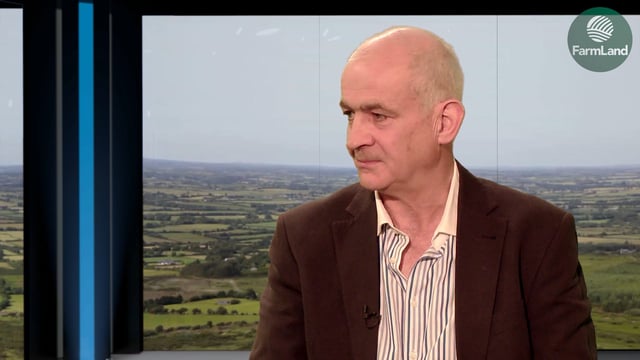 'IFA needs structure to help farmers - not protect staff'