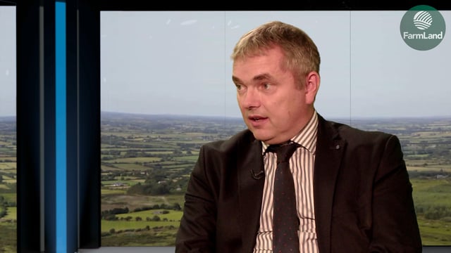 'Trying year' for potatoes with supply predictions 'on knife-edge'