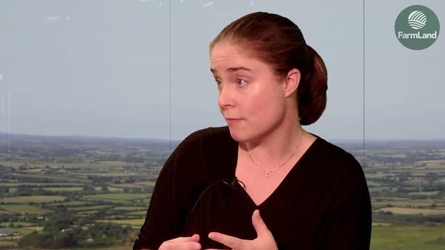 How can late-cut silage be used most efficiently?