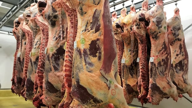 Philippines: Largest volume buyer of Irish beef outside EU