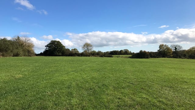 68ac non-residential holding in Tomsilla, Gorey