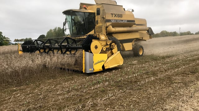 Tillage focus: Spring oilseed rape seed is providing a niche crop for tillage farmers
