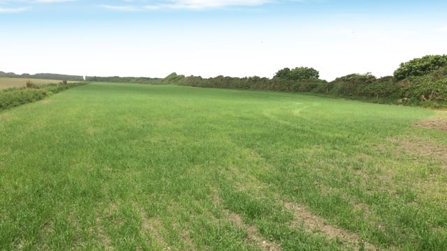 Farmers will vie with 'good lifers' for this well-located land