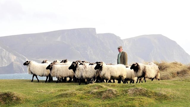 Achill farmer shortlisted for national farming award
