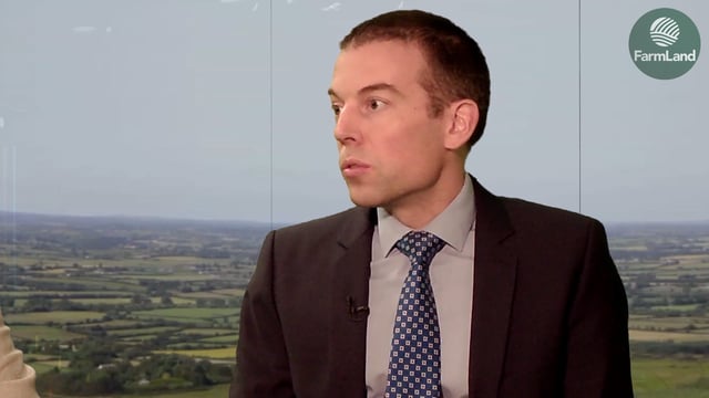 'No evidence of link between wild deer and spread of TB' - chief vet