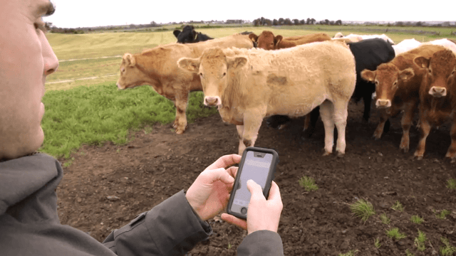 FARM SMART: How farmers can make their lives easier through technology