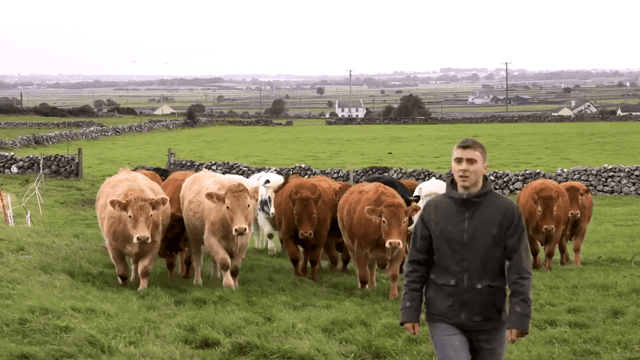 FARM SMART: Why this beef farmer invested in new winter housing and technology