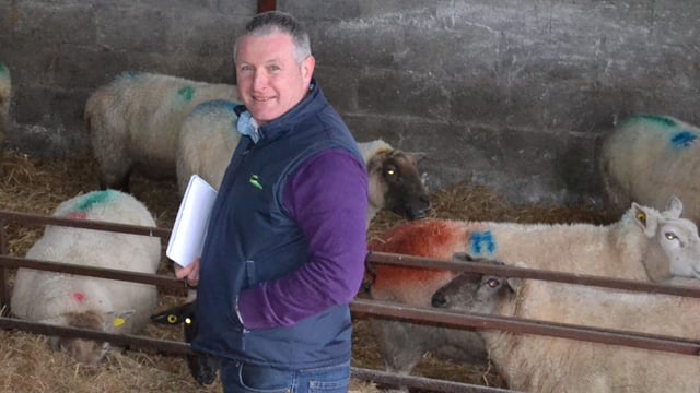 New sheep specialist appointed by Teagasc
