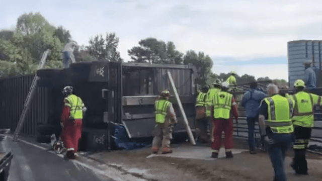 Cattle chaos: Livestock lorry overturns on US interstate