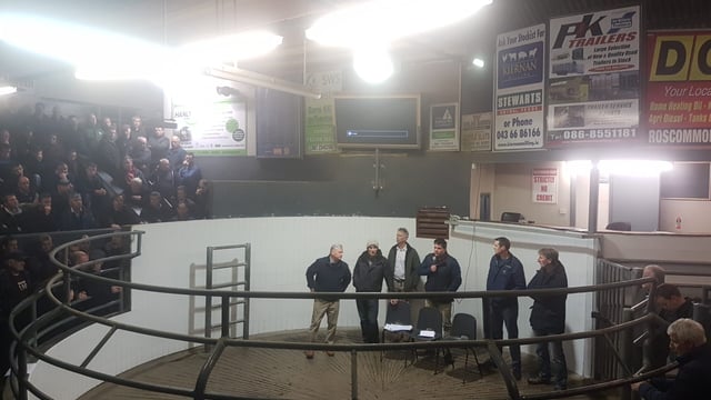What do farmers think about the state of the beef industry?