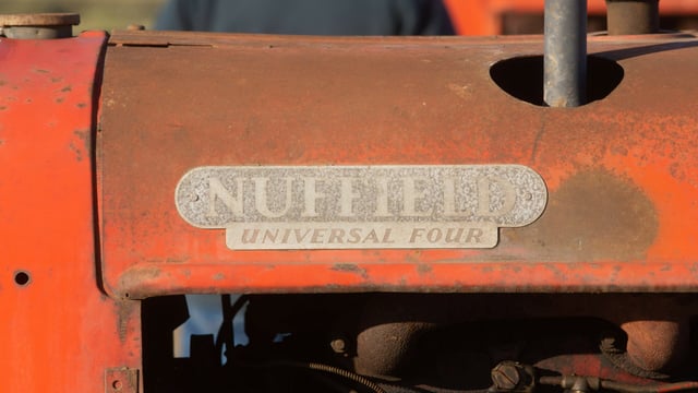 A cache of Nuffields 'cashed in' at West Corner Farm