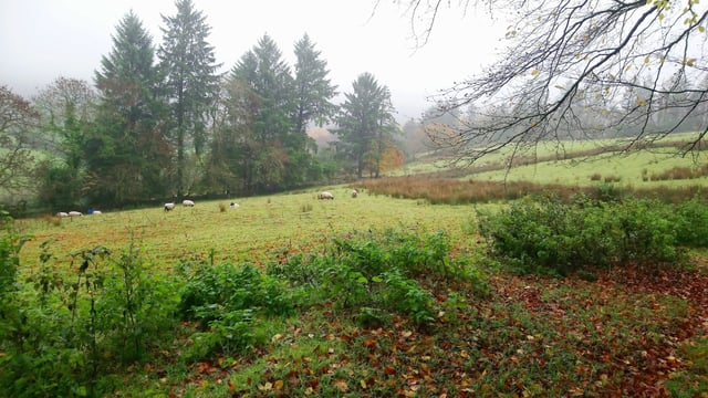 Co. Cork property boasts 'a generous site with superb mountain views'